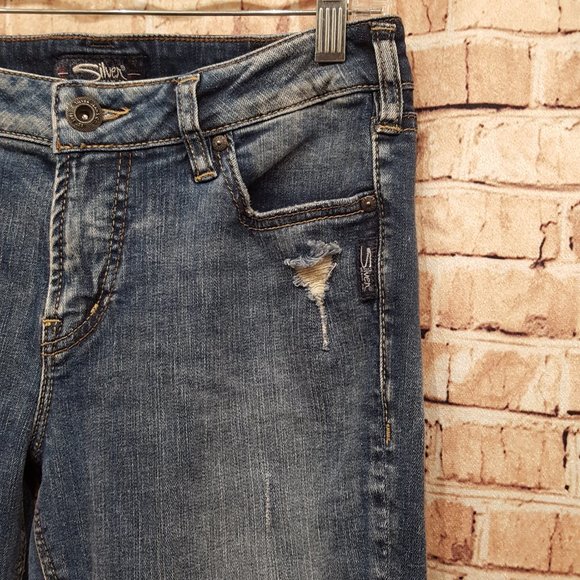 Silver Jeans Co. Jeans AIKO Ankle Skinny Size W30/L27 EUC - Picture 8 of 15
